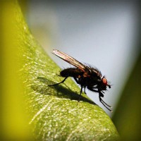 /album/het-lichtbaken/photolia-a04-jpg/