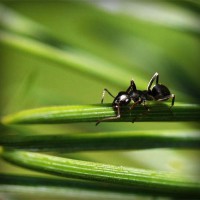 /album/het-lichtbaken/photolia-a05-jpg/