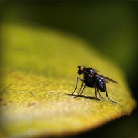 /album/het-lichtbaken/photolia-a07-jpg/