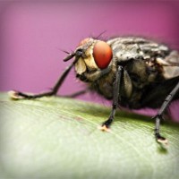 /album/het-lichtbaken/photolia-a08-jpg/